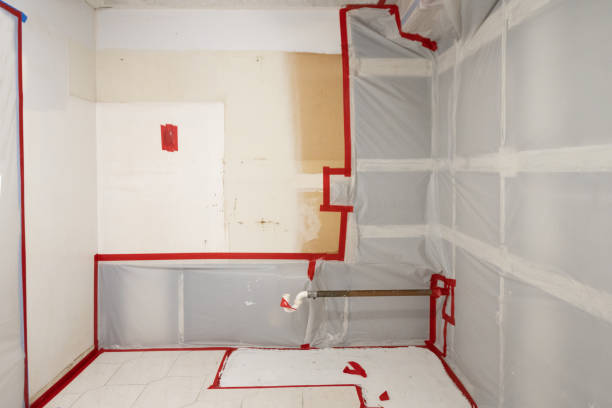 Best Post-Construction Mold Inspection  in Paterson, NJ